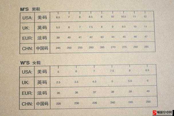 亚洲 M 码与欧洲 S 码及 SSS222 的独特魅力呈现