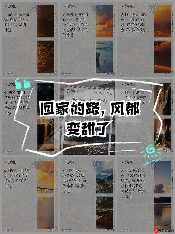 带你回家怎么玩儿：探索独特的玩法与无尽的乐趣之旅